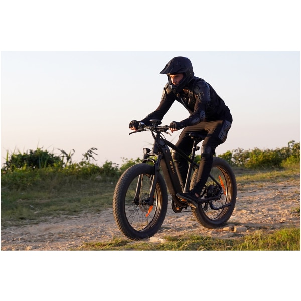 Elektrický bicykel DYU KING 750