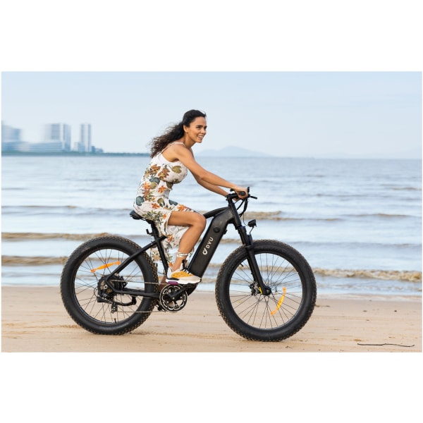 Elektrický bicykel DYU KING 750