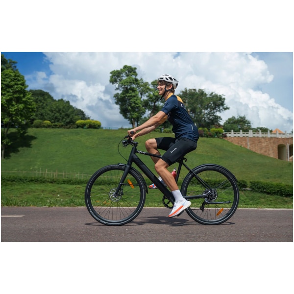 Elektrický bicykel DYU Stroll 1