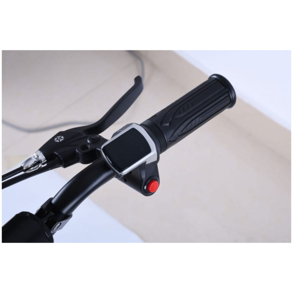 Elektrická kolobežka X-scooters XT01